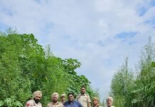 पंजाब पुलिस ने भारी मात्रा में छुपाई गई लाहण नष्ट करने में सफलता पाई