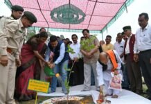 शिमला : शिमला के आसपास के ग्रामीण क्षेत्र में 81,800 पौधे रोपित करने का लक्ष्य – विक्रमादित्य सिंह