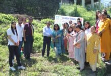 अनामिका कुमार के निर्देशन में”एक पेड़ माँ के नाम” योजना को साकार करती एनजेचपीएस की महिलाएं