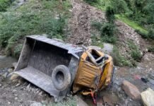 मंडी : कांढा में खाई में गिरा टिप्पर, चालक की दर्दनाक मौत