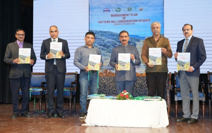 WhatsApp Image 2024-10-08 at 17.16.39_152cba1e