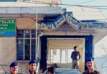 ठियोग पुलिस ने 8 ग्राम हेरोइन/चिट्टा के साथ धरा एक युवक