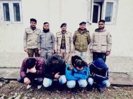 शिमला : पुलिस थाना देहा में 4 व्यक्ति चिट्टे के साथ गिरफ्तार