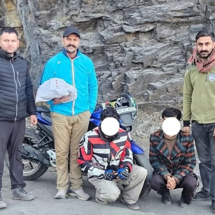 WhatsApp Image 2025-01-31 at 11.29.11_c1c5d0e4