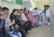 आयुष काढा प्रतिरोधक क्षमता को बढ़ाने में मददगार-डॉ.इंदु शर्मा