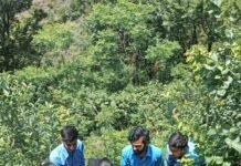 प्रगति आईटीआई में पर्यावरण दिवस पर पोस्टर मेकिंग और पौधारोपण कार्यक्रम आयोजित