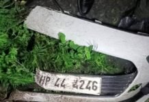 विधानसभा अध्यक्ष कुलदीप सिंह पठानियां ने तीसा सड़क हादसे पर किया खेद प्रकट