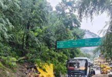 रात को हुई भारी बारिश के कारण पतलीकूहल में पहाड़ी से गिरे पत्थर, सब्जी के खोखे को पहुंचा नुकसान