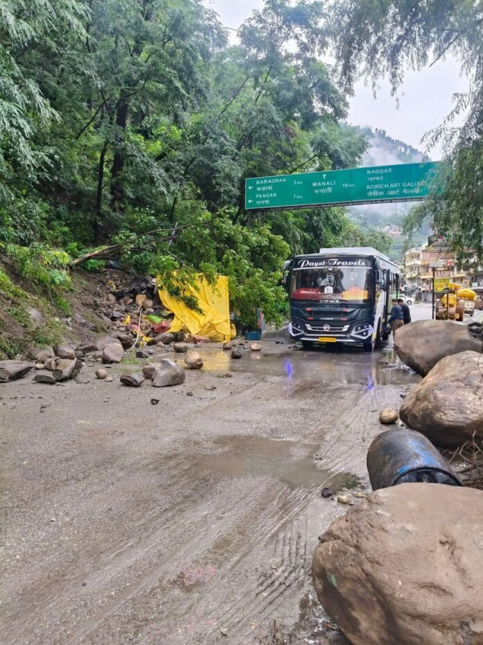 WhatsApp Image 2025-08-03 at 14.39.47_053536d3