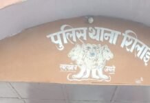 शिलाई पुलिस की बड़ी कार्रवाई, स्मैक और चरस की खेप बरामद