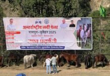 अश्व प्रदर्शनी के दूसरे दिन तक कुल 187 घोड़ों का पंजीकरण