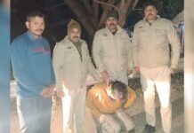 सुंदरनगर में आधी रात पुलिस का कड़ा प्रहार, बल्ह के ढाबन का युवक 6 ग्राम चिट्टा सहित गिरफ्तार