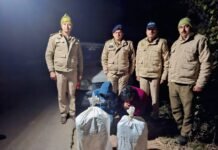 तलाई में पकड़ी 15.614 किलो चूरा/डोडा पोस्त की खेप