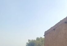 बद्दी में झगड़े के मामले में युवक की मौत, हत्या की धारा जोड़ी गई, आरोपी गिरफ्तार