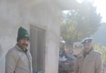 कसौली पुलिस की बड़ी कार्रवाई, पशुशाला से 15 पेटी अवैध शराब बरामद