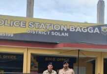 शालूघाट नाकाबंदी में चरस सहित आरोपी गिरफ्तार, आपराधिक इतिहास भी उजागर