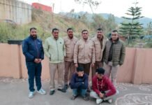 मंडी पुलिस की बड़ी कार्रवाई : एनडीपीएस एक्ट के तहत दो मामलों में 50 ग्राम चिट्टा व 76.96 किलो अफीम डोडा बरामद, तीन आरोपी गिरफ्तार