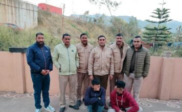 मंडी पुलिस की बड़ी कार्रवाई : एनडीपीएस एक्ट के तहत दो मामलों में 50 ग्राम चिट्टा व 76.96 किलो अफीम डोडा बरामद, तीन आरोपी गिरफ्तार