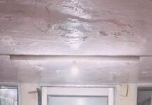 परवाणू पुलिस को बड़ी सफलता, 6 साल से फरार भगोड़ा आरोपी शिमला से गिरफ्तार