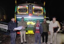 पांवटा साहिब में 3 किलो 14 ग्राम भुक्की सहित ट्रक चालक गिरफ्तार