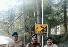 शिमला पुलिस की बड़ी कार्रवाई – 1.115 किलोग्राम चरस बरामद, एक आरोपी गिरफ्तार