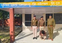 परवाणू में युवक से 7.36 ग्राम चिट्टा बरामद, एनडीपीएस एक्ट में मामला दर्ज