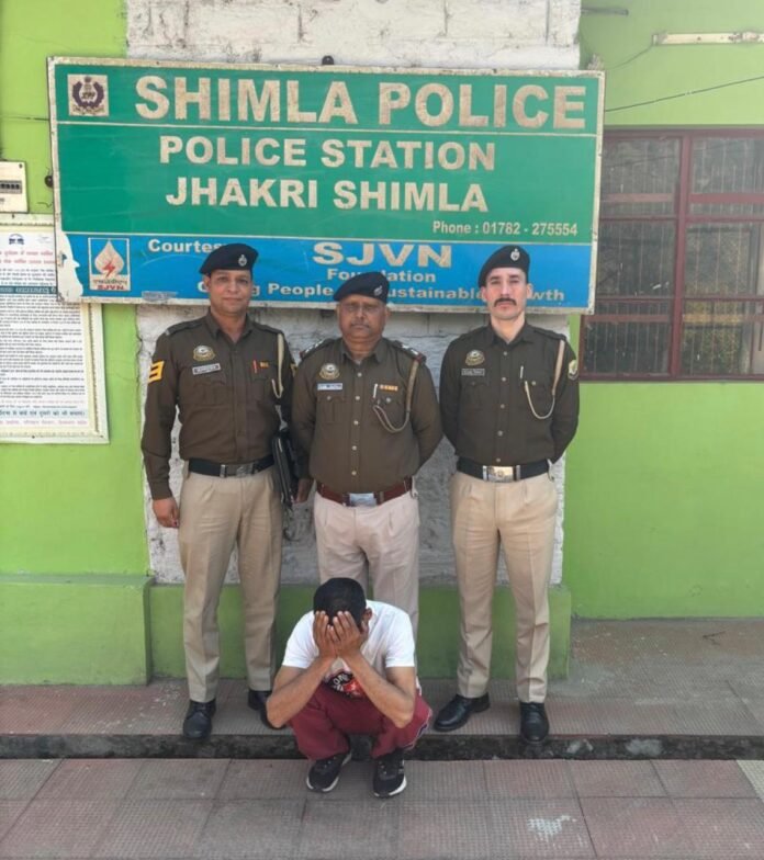 WhatsApp Image 2026-02-23 at 16.46.35