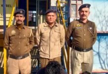 “शिमला पुलिस की कार्रवाई — मारपीट मामले में तीन आरोपी गिरफ्तार, जांच जारी”