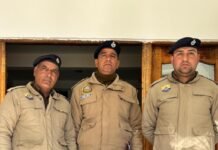 शिमला पुलिस का नशा तस्करों पर शिकंजा, 31 दिनों में 22 डिटेंशन आदेश