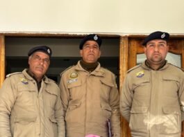 शिमला पुलिस का नशा तस्करों पर शिकंजा, 31 दिनों में 22 डिटेंशन आदेश