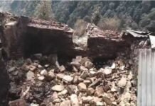 शिलाई के क्यारी गुंडाह में जिंदा जले 6 पशु