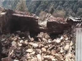 शिलाई के क्यारी गुंडाह में जिंदा जले 6 पशु