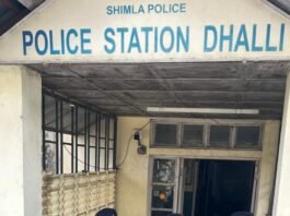 मास्टरमाइंड मनु गिरफ्तार, शिमला पुलिस की बड़ी कामयाबी