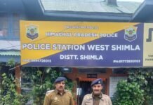 शिमला में चिट्टे का बड़ा खुलासा! 288 ग्राम हेरोइन के साथ आरोपी गिरफ्तार