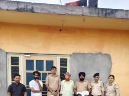 सिरमौर में अफीम की अवैध खेती का भंडाफोड़, 25 पौधे व 1.106 किलो चूरा पोस्त बरामद