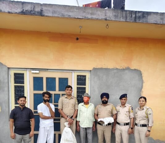 सिरमौर में अफीम की अवैध खेती का भंडाफोड़, 25 पौधे व 1.106 किलो चूरा पोस्त बरामद