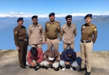 नारकंडा में पुलिस की बड़ी कार्रवाई: 9.28 किलो अफीम और 12 लाख नकद के साथ 3 गिरफ्तार