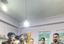 रोहड़ू में चिट्टा तस्करी के अंतरराज्यीय नेटवर्क का भंडाफोड़, मुख्य सप्लायर गिरफ्तार