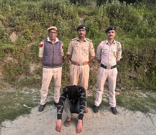 कुमारसैन में बड़ी कार्रवाई: 5.652 किलो चरस के साथ आरोपी गिरफ्तार, संगठित तस्करी नेटवर्क पर चोट