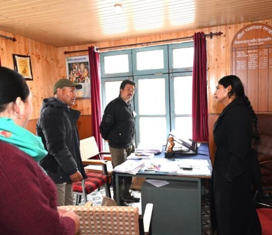 तांदी पहुंचीं उपायुक्त किरण भड़ाना, पंचायत चुनाव नामांकन प्रक्रिया का लिया जायजा