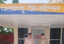 परवाणू पुलिस की बड़ी कार्रवाई, चिट्टा तस्करी मामले में पंजाब का आरोपी गिरफ्तार