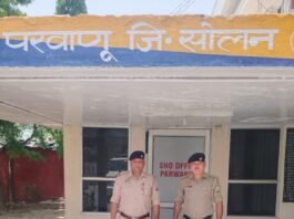 परवाणू पुलिस की बड़ी कार्रवाई, चिट्टा तस्करी मामले में पंजाब का आरोपी गिरफ्तार