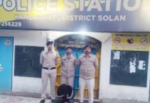 कंडाघाट में युवक से 4.94 ग्राम चिट्टा बरामद, पुलिस जांच में जुटी