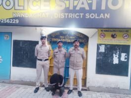 कंडाघाट में युवक से 4.94 ग्राम चिट्टा बरामद, पुलिस जांच में जुटी