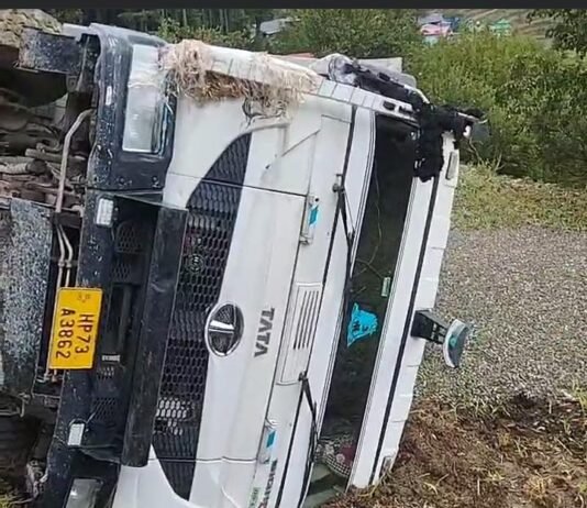 सड़क किनारे खेत में जा गिरा ट्रक, चालक व परिचालक सुरक्षित